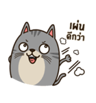 Salid This Funny Cat（個別スタンプ：28）