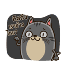 Salid This Funny Cat（個別スタンプ：30）