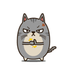 Salid This Funny Cat（個別スタンプ：31）