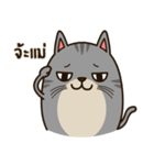 Salid This Funny Cat（個別スタンプ：32）