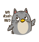 Salid This Funny Cat（個別スタンプ：34）