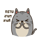 Salid This Funny Cat（個別スタンプ：36）