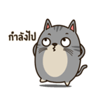 Salid This Funny Cat（個別スタンプ：37）