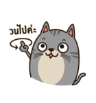 Salid This Funny Cat（個別スタンプ：39）