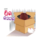 Biscuit 's girl（個別スタンプ：32）