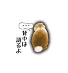 Rabbit, cute tail of the owner's（個別スタンプ：3）