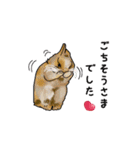 Rabbit, cute tail of the owner's（個別スタンプ：4）