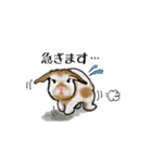 Rabbit, cute tail of the owner's（個別スタンプ：5）
