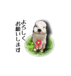 Rabbit, cute tail of the owner's（個別スタンプ：7）