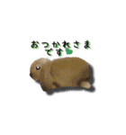 Rabbit, cute tail of the owner's（個別スタンプ：14）