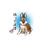 Rabbit, cute tail of the owner's（個別スタンプ：20）