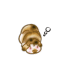 Rabbit, cute tail of the owner's（個別スタンプ：22）