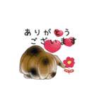 Rabbit, cute tail of the owner's（個別スタンプ：24）