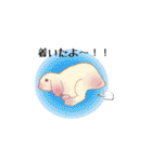 Rabbit, cute tail of the owner's（個別スタンプ：27）