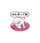 Rabbit, cute tail of the owner's（個別スタンプ：30）