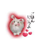 Rabbit, cute tail of the owner's（個別スタンプ：32）