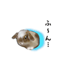 Rabbit, cute tail of the owner's（個別スタンプ：33）