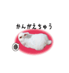 Rabbit, cute tail of the owner's（個別スタンプ：34）