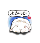 Rabbit, cute tail of the owner's（個別スタンプ：38）