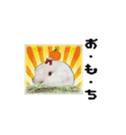 Rabbit, cute tail of the owner's（個別スタンプ：39）