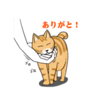 太り気味の猫（個別スタンプ：1）