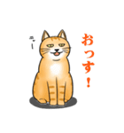 太り気味の猫（個別スタンプ：2）