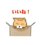 太り気味の猫（個別スタンプ：22）