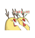 ▷鶏先輩と過ごすX'mas＆正月（個別スタンプ：10）