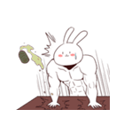 Muscle Animal (Rabbit)（個別スタンプ：19）