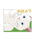 てくてく まるこねこ（個別スタンプ：1）