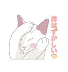 てくてく まるこねこ（個別スタンプ：17）