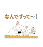 てくてく まるこねこ（個別スタンプ：19）