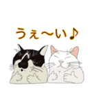 てくてく まるこねこ（個別スタンプ：20）