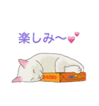 てくてく まるこねこ（個別スタンプ：21）