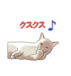 てくてく まるこねこ（個別スタンプ：27）