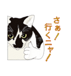 てくてく まるこねこ（個別スタンプ：35）