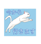 てくてく まるこねこ（個別スタンプ：36）