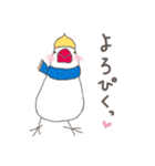 関西弁の白文鳥 冬（お正月・クリスマス）（個別スタンプ：4）