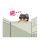 Happy Megan Bear（個別スタンプ：6）