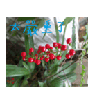 Wood flowers of the landscape（個別スタンプ：8）