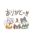 短パンをはいたねこ（個別スタンプ：19）