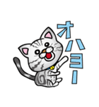 愛猫Jun（個別スタンプ：5）