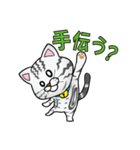 愛猫Jun（個別スタンプ：31）