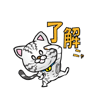 愛猫Jun（個別スタンプ：33）