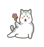 MIIN GIFT - YOGA CAT ＆ DOG (EN)（個別スタンプ：37）