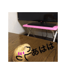 いもいも（個別スタンプ：7）