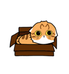 Catty meow - Leo and babe（個別スタンプ：27）