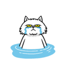 Weird Grumpy Cat（個別スタンプ：13）