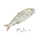 川の魚たち(カラー)（個別スタンプ：9）