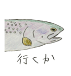 川の魚たち(カラー)（個別スタンプ：24）